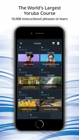 Game screenshot Bluebird: Learn Yoruba mod apk