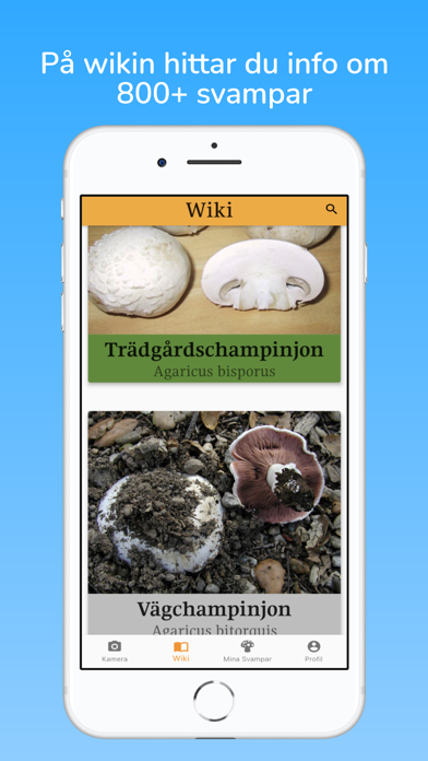 fungai - svampguide med AI Screenshot