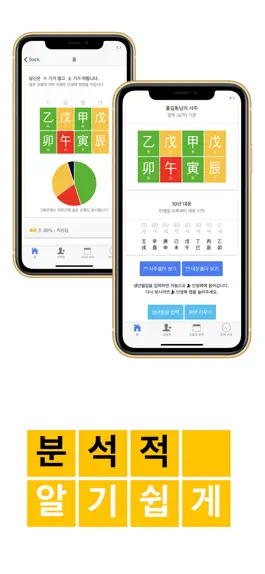Game screenshot 현대사주 lite hack