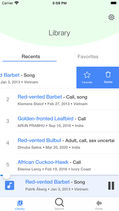 Bird Calls and Songs