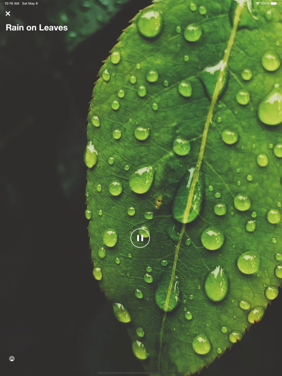 Screenshot #4 pour Son de la Pluie: Relax, Dormir