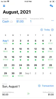 cashflow calendar problems & solutions and troubleshooting guide - 1