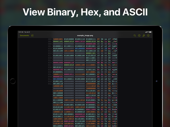 Hexer — Hex File Viewer iPad app afbeelding 3