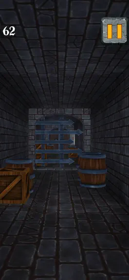Game screenshot Castle Escape - Dungeon Runner hack