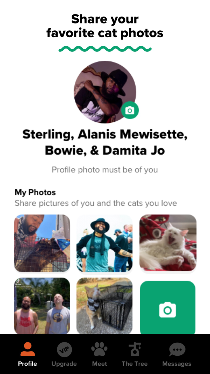 Tabby Cat Persons Dating App