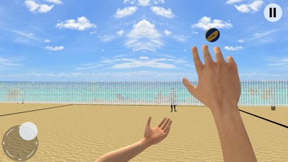 Volleyball Championship Court Screenshot