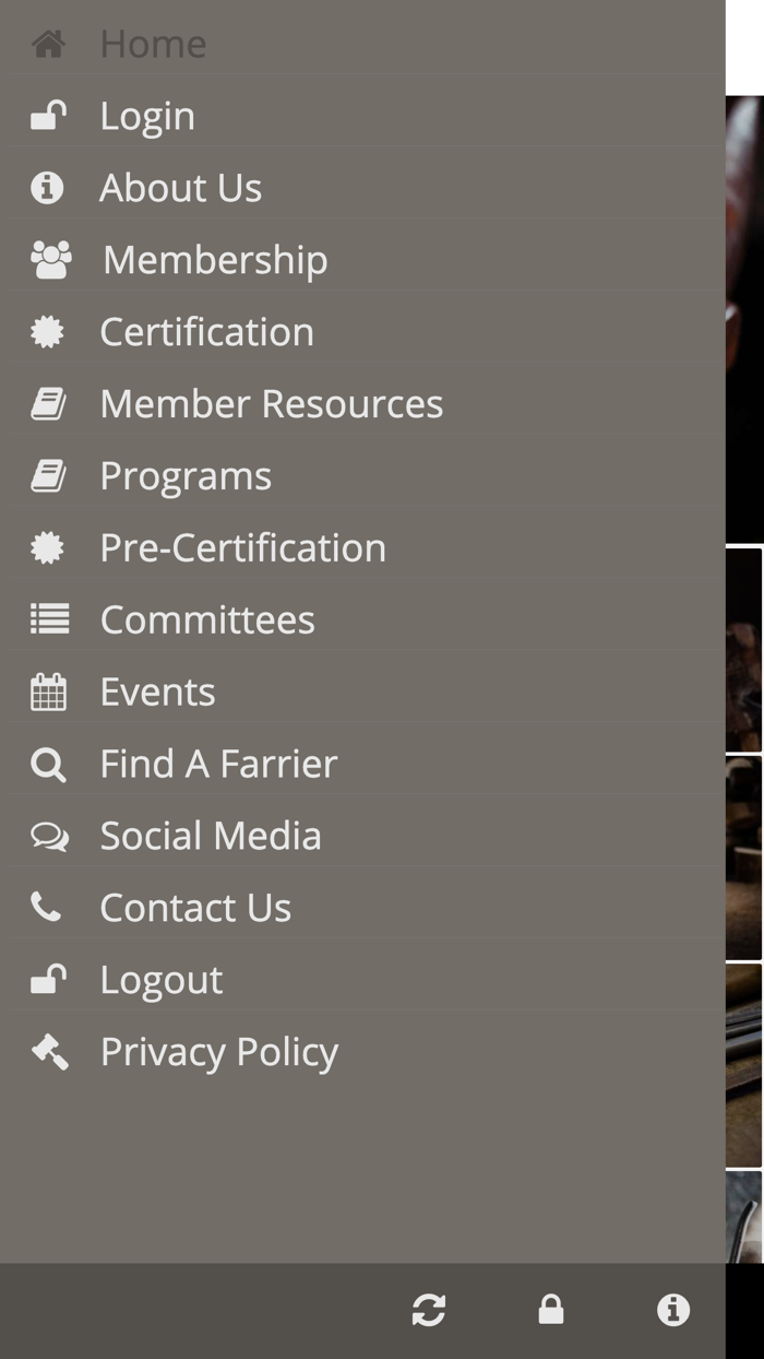 American Farrier’s Association