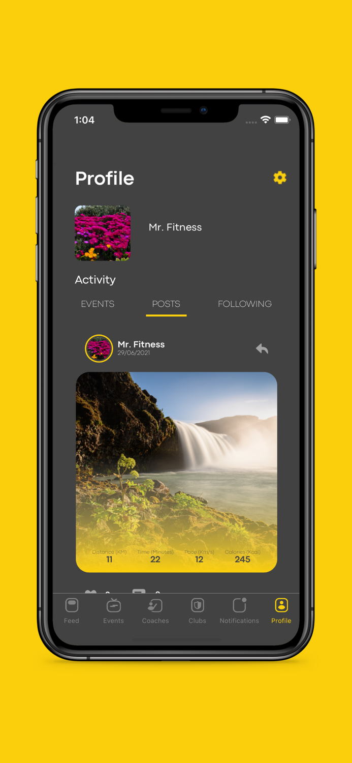 Virtual Electronic Sports