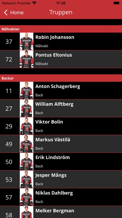 Screenshot #3 pour Nybro Vikings