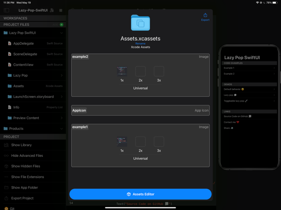 App Maker Professional iPad screenshot 4 - Developer Tools app