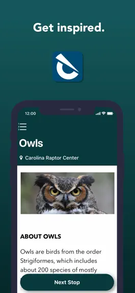 Game screenshot BirdsInspire hack