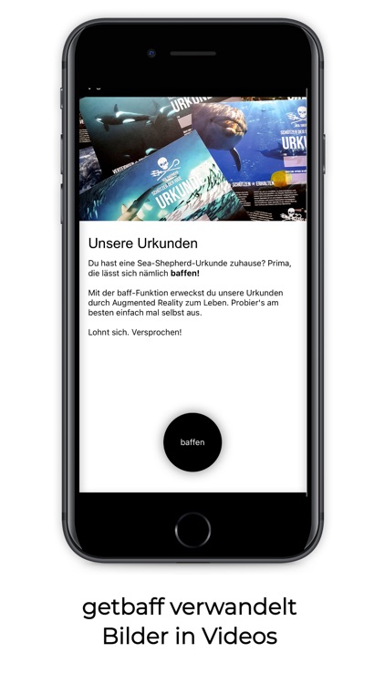 Sea Shepherd Deutschland screenshot-4