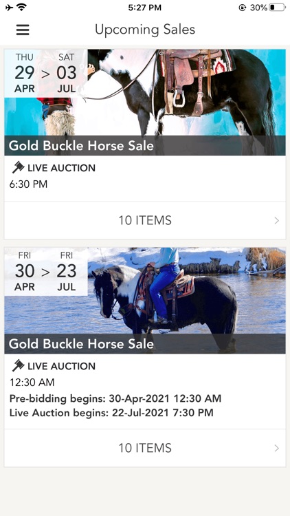 Gold Buckle Horse Sale