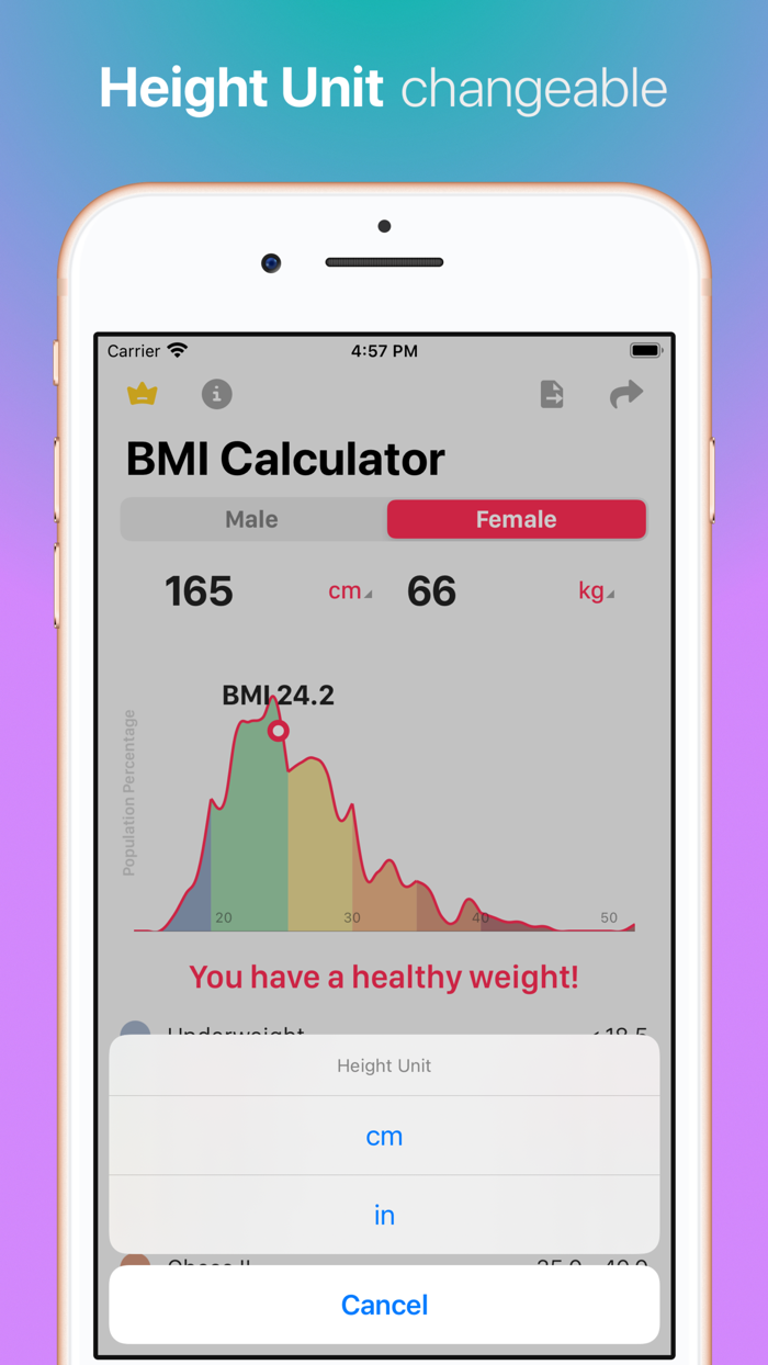 BMI Calculator - Mass Check