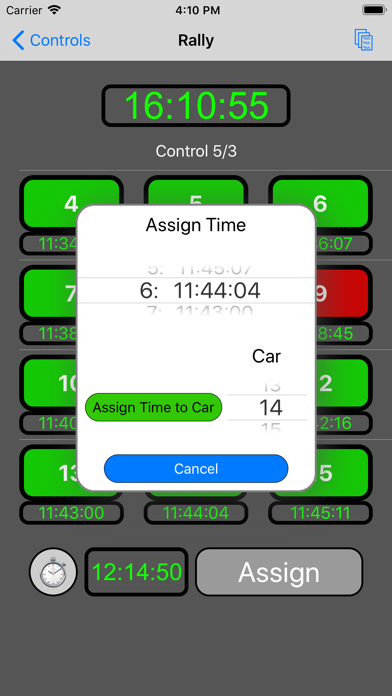 RallyTimer Marshal Screenshot