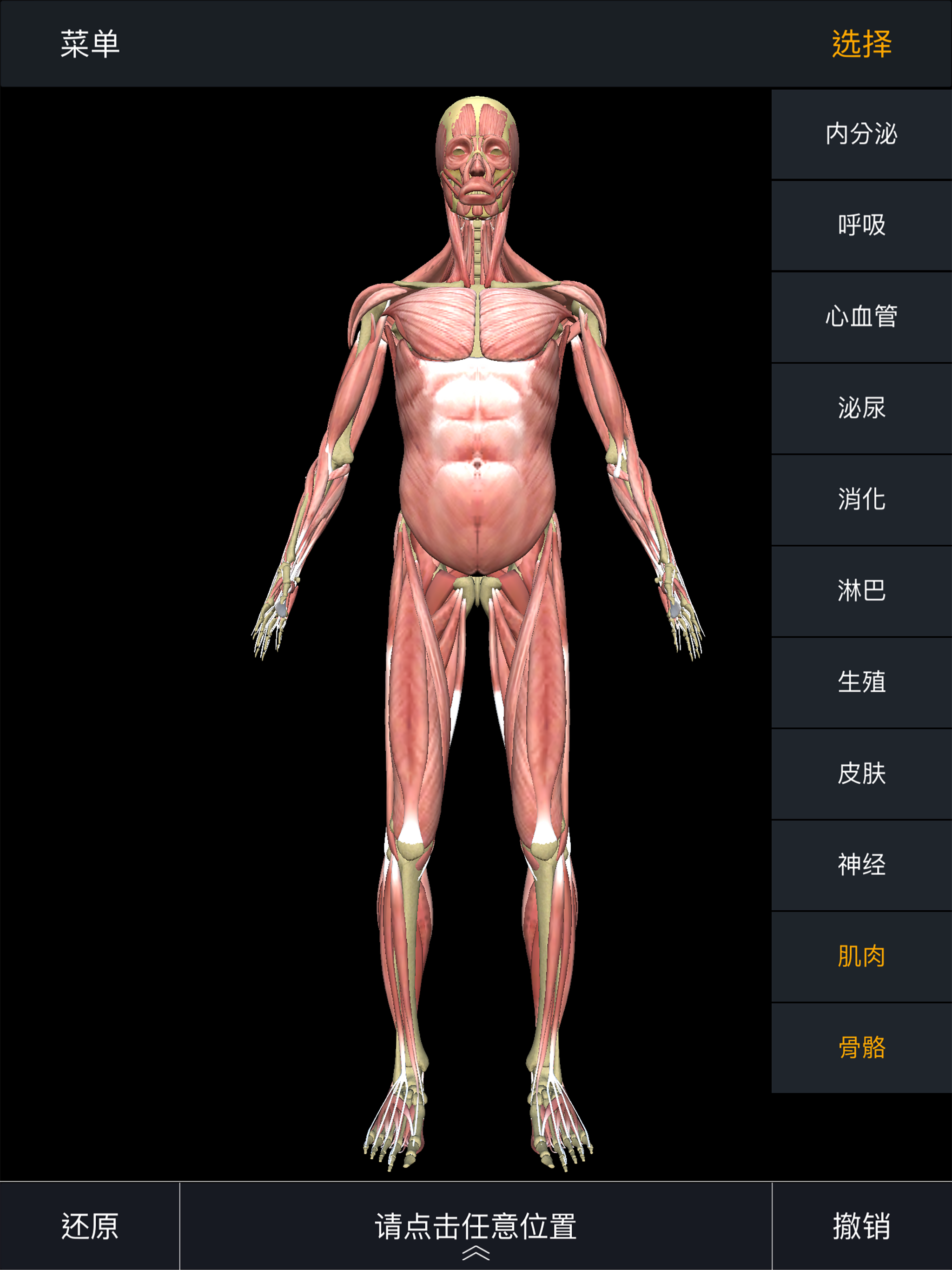 人体护理
