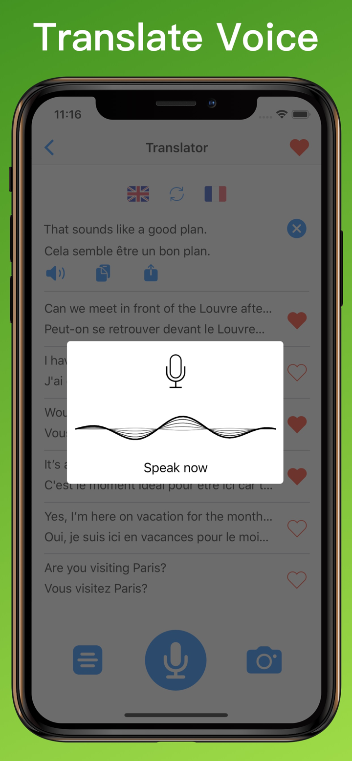 French Translator Dictionary + screenshot 5