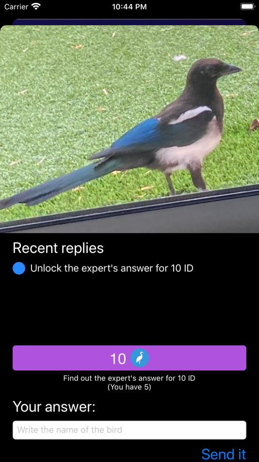 #7. Bird ID - Bird Identification (iOS) 由: Ecosystema