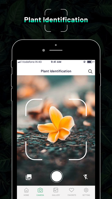 Identify Plant : Flower & Tree Screenshot