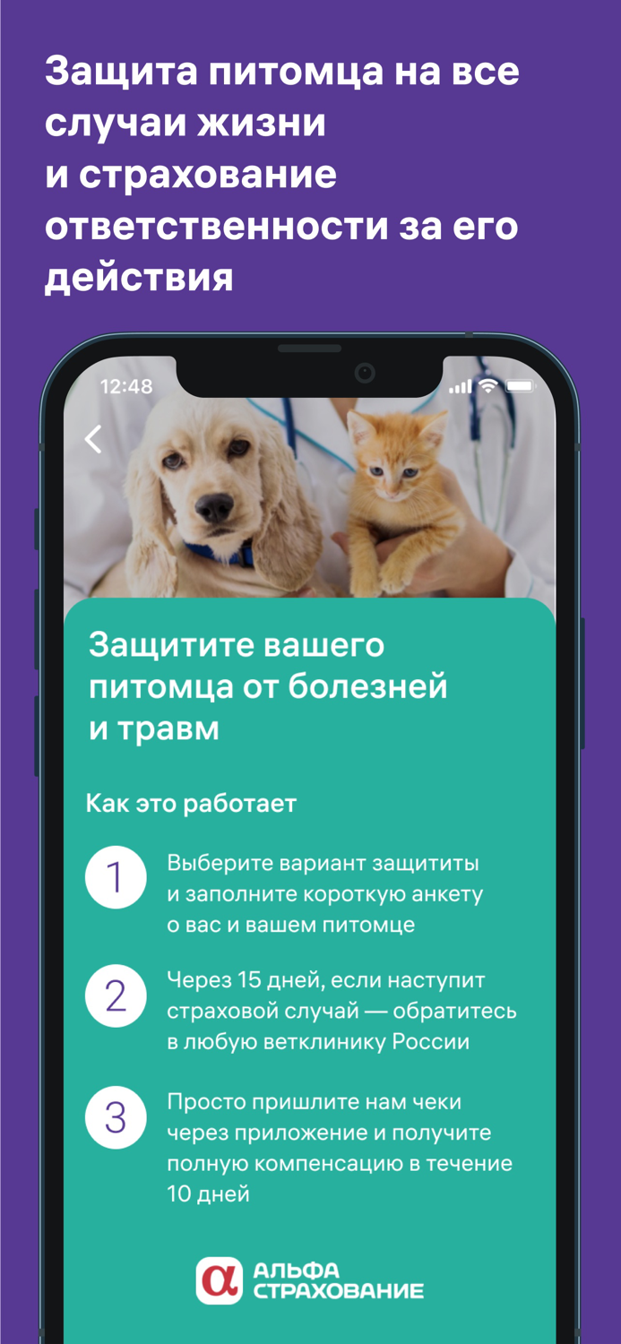 Petset дрессировка, ветеринар