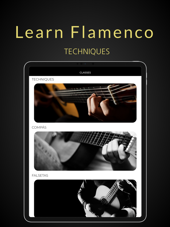 Screenshot #4 pour Learn Flamenco Guitar