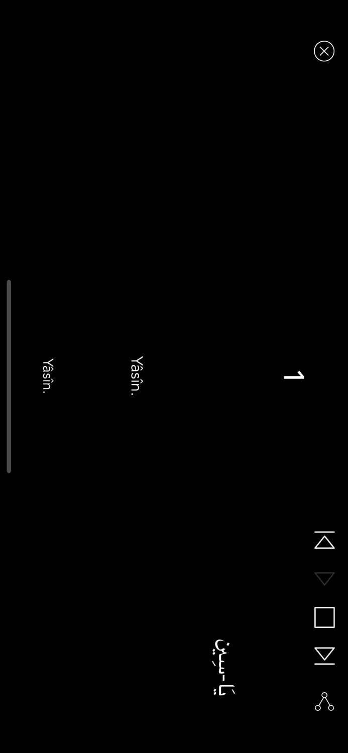 Yasin Suresi Yasin-i Şerif PRO