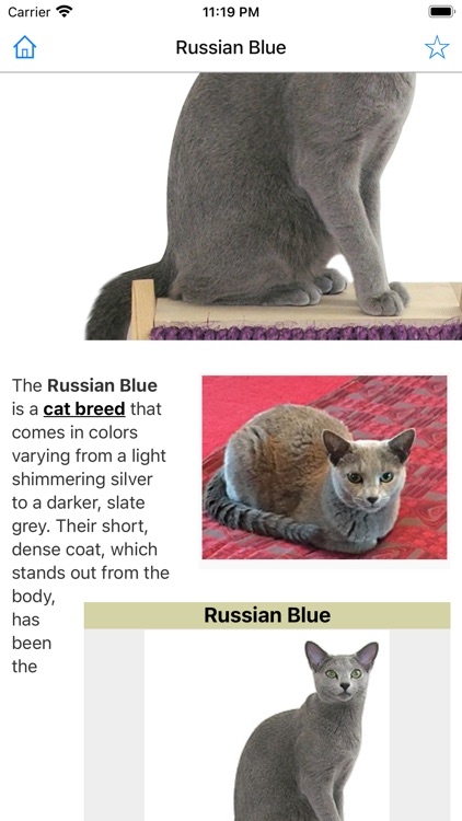 Encyclopedia of Cats screenshot-5