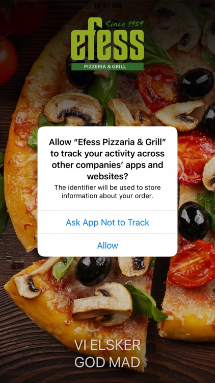 Efess Pizzaria & Grill