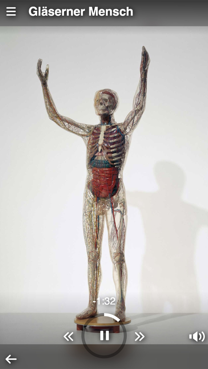 Roemer- und Pelizaeus-Museum