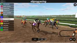 Game screenshot eHorseracing.com Race Viewer hack