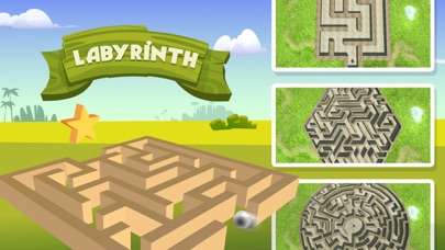 How to cancel & delete 3D Classic Labyrinth – Maze Games from iphone & ipad 1