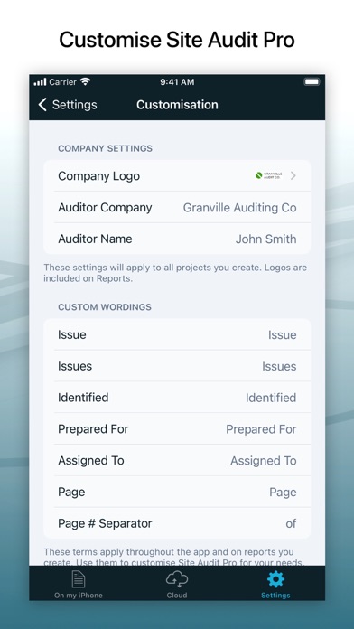 Site Audit Pro Screenshot