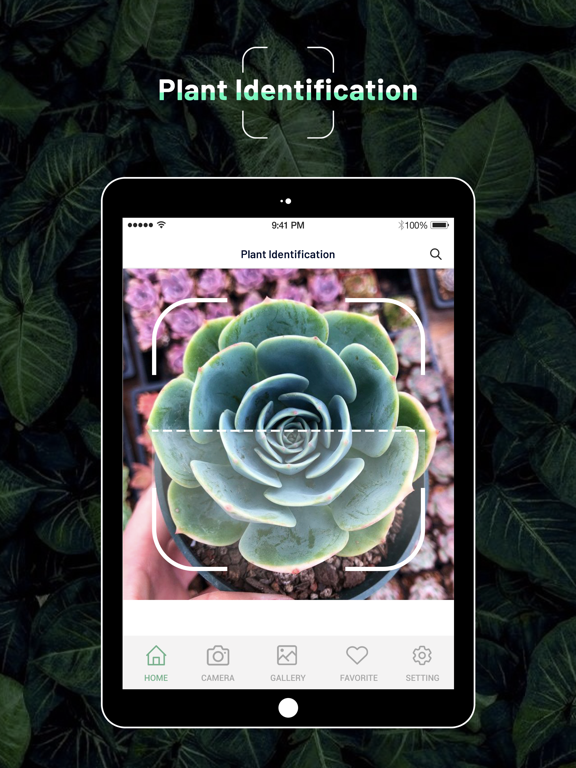 Screenshot #4 pour Identify Plant : Flower & Tree