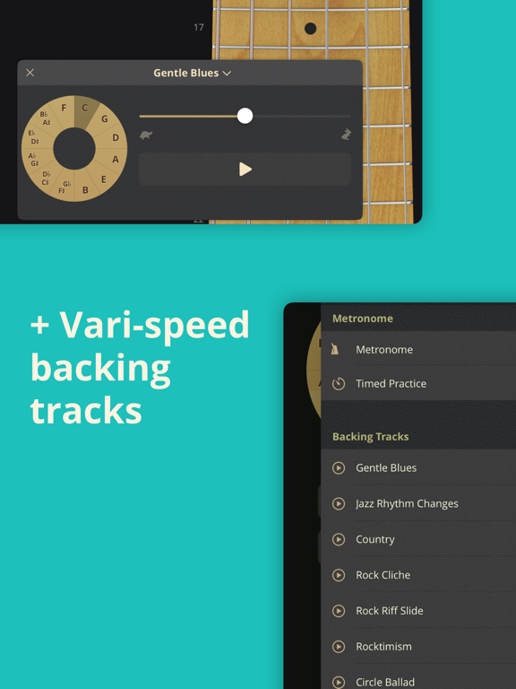 ScaleBank: Guitar Scales iPad screenshot 5 - Music app