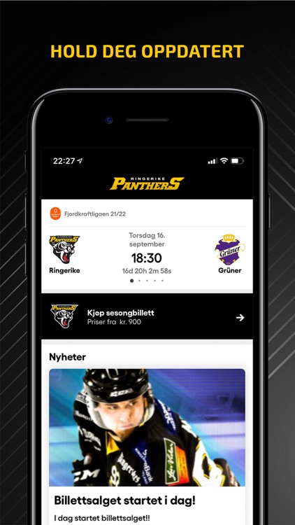 Ringerike Panthers