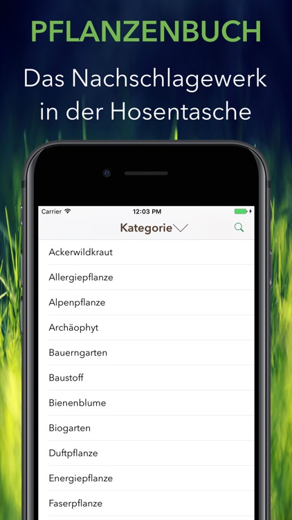 Krautfinder screenshot-9