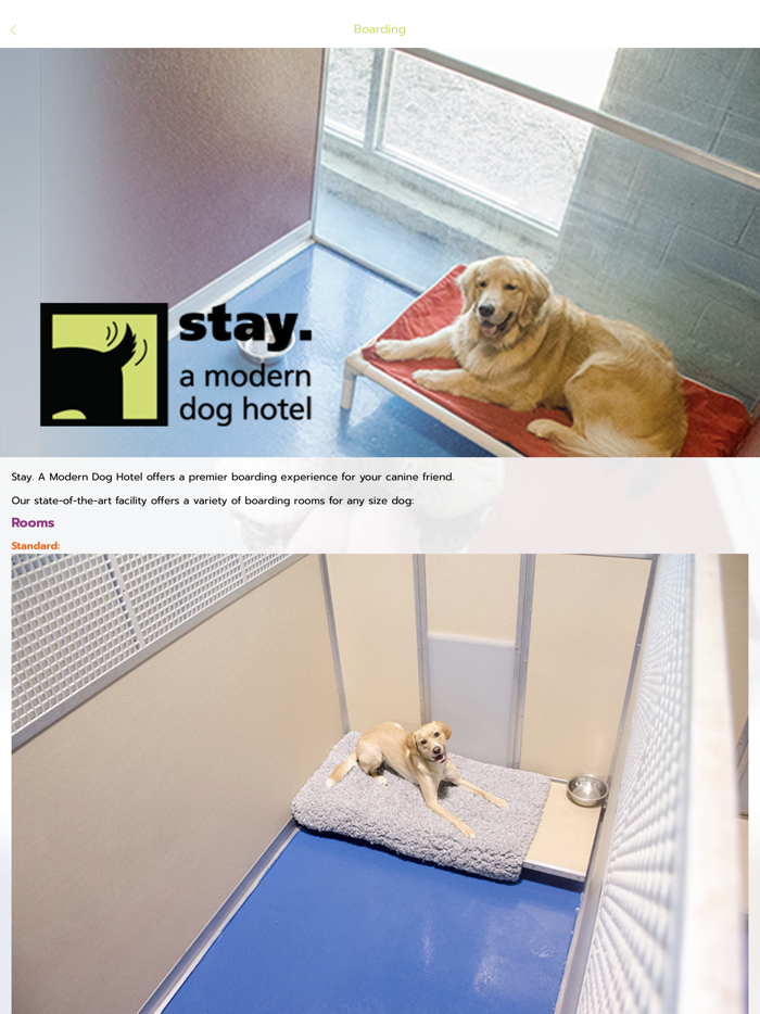 stay. a modern dog hotel