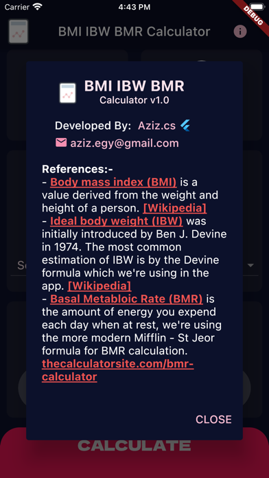 BMI IBW Calculator Screenshot
