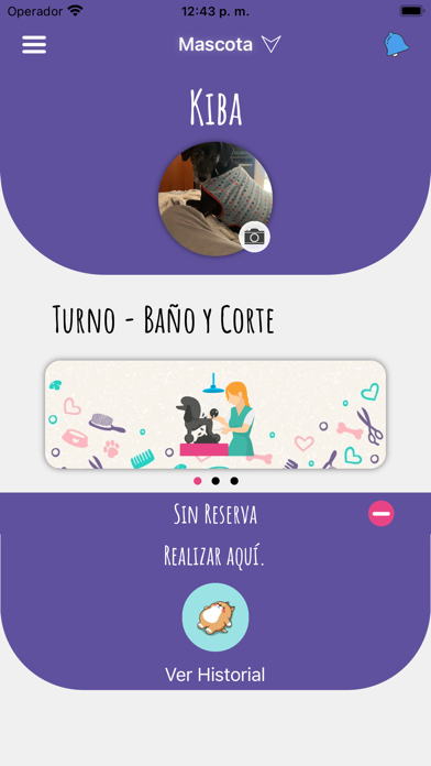 Pelu Marquez Screenshot