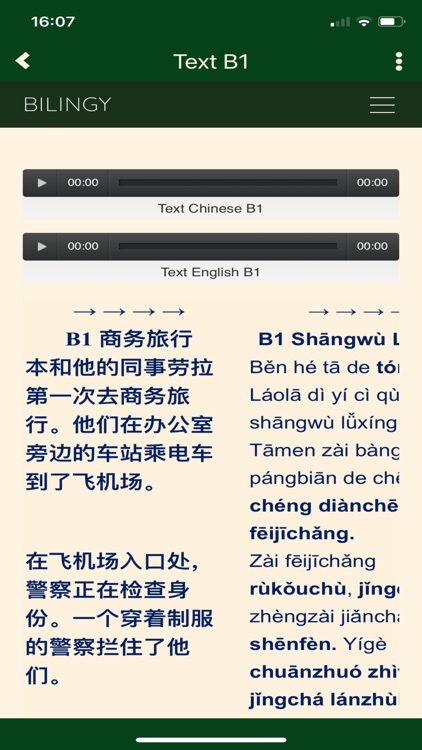 Bilingy screenshot-4