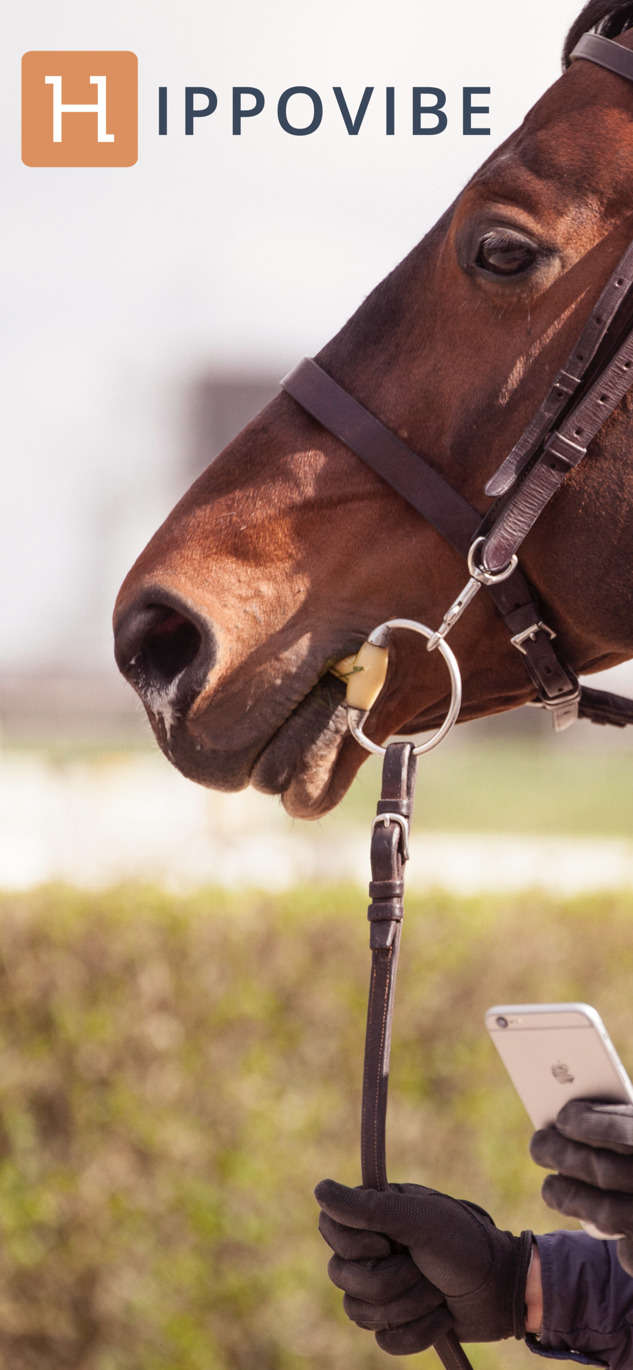 Hippovibe