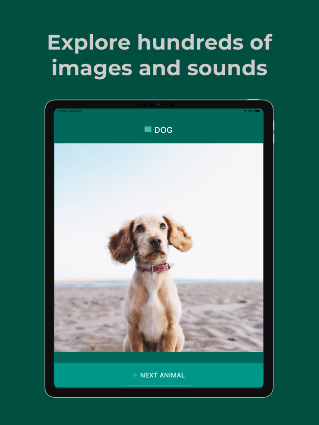 ‎My Digital Zoo - Picture book Screenshot