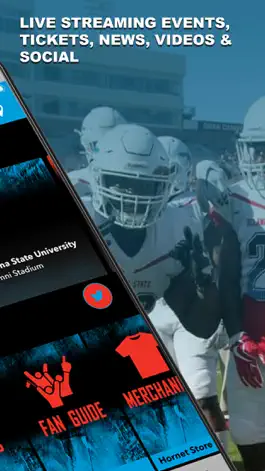 Game screenshot Delaware State Hornets apk