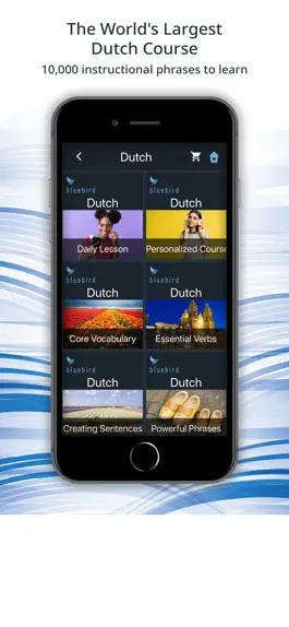 Game screenshot Bluebird: Learn Dutch apk