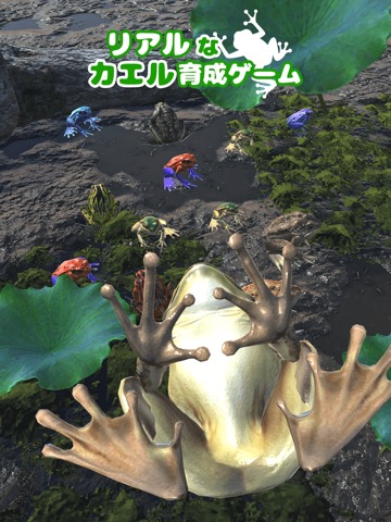カエルといっしょ - 癒し系放置育成ゲームのおすすめ画像1