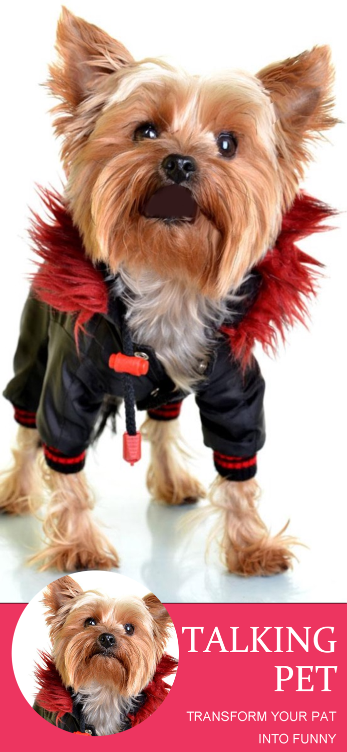 Talking Pet - AI Animal Editor