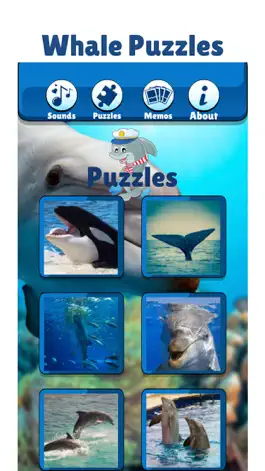 Game screenshot Sea World: Dolphin & Whale Toy hack