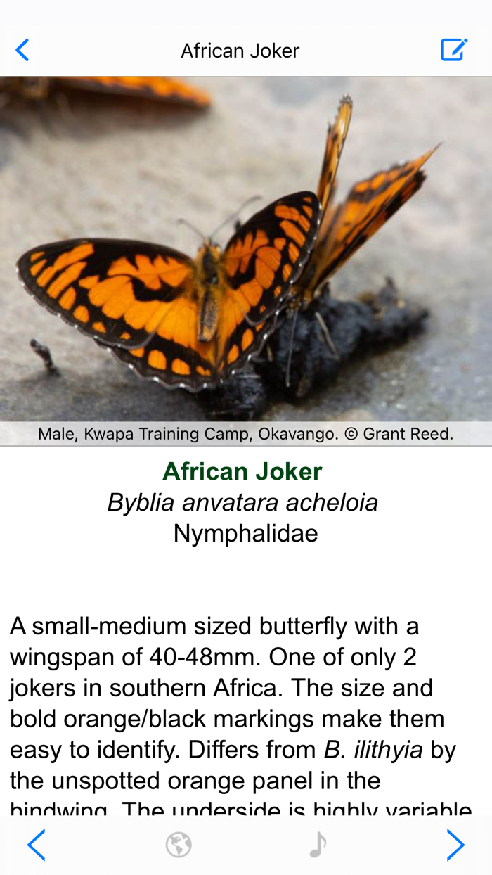 Botswana Wildlife Guide