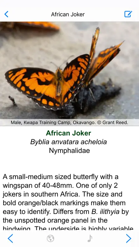 Botswana Wildlife Guide screenshot 6 of 10