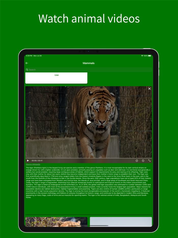 Virtual Jungle Safari